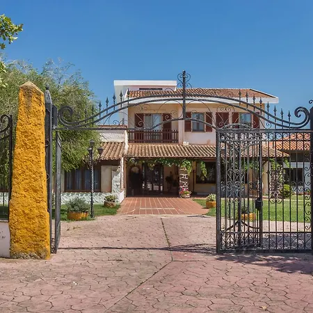 Da Renzo 시아메기오레